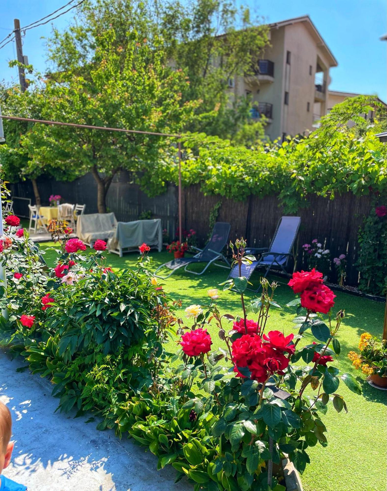 Năvodari Vila Cris Apartments מראה חיצוני תמונה